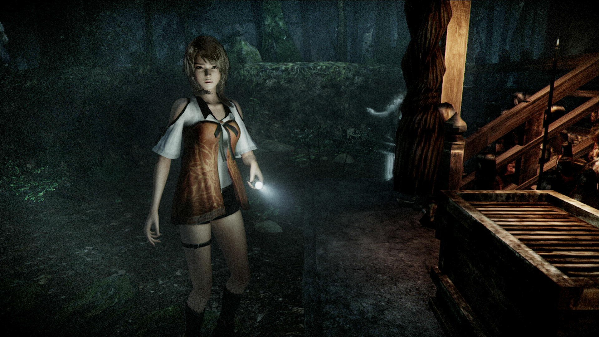 Why the hell did Nintendo not mention the fact that Fatal Frame is coming out this year?  That's a key exclusive.